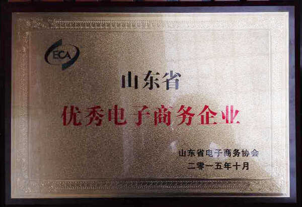 祝贺我集团公司被评为山东省优秀电子商务企业